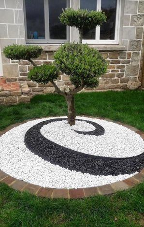 There is a tree in the middle of a circle of gravel.