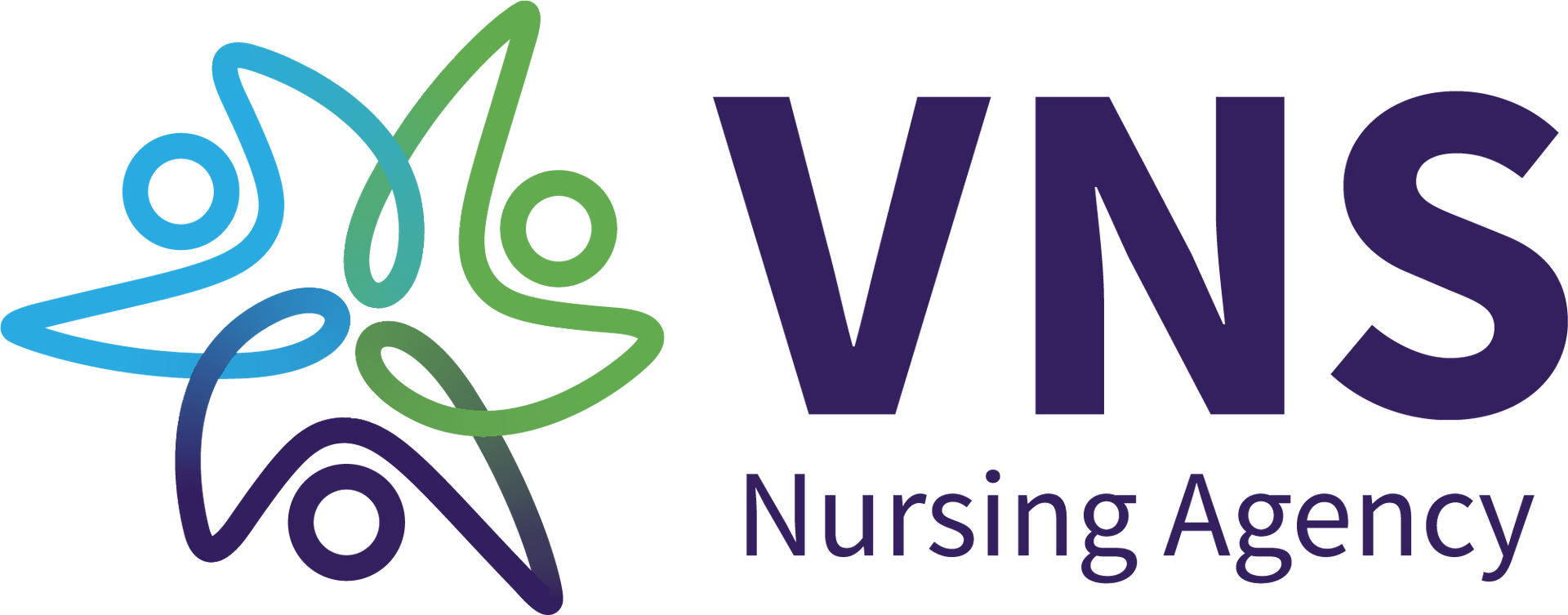 Logo of VNS Nursing Agency; star-shaped design in blue, green, and purple; navy text.