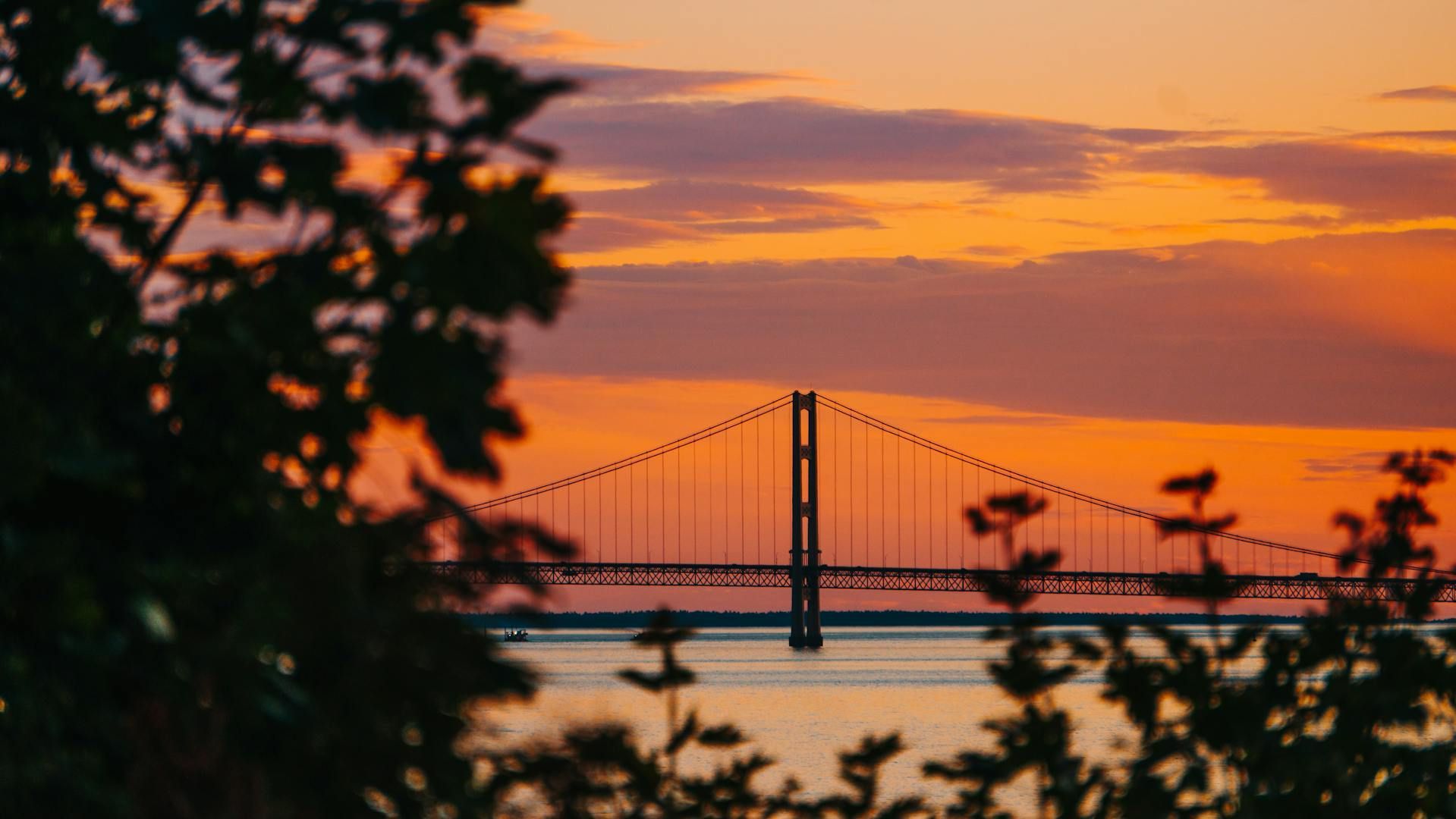 Suspension bridge silhouetted against a vibrant orange and pink sunset sky, seen through tree branches.