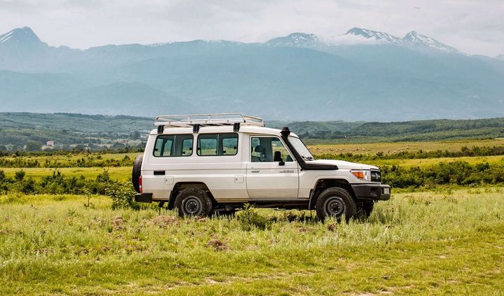 White Jeep in the Wild White Jeep in the Wild