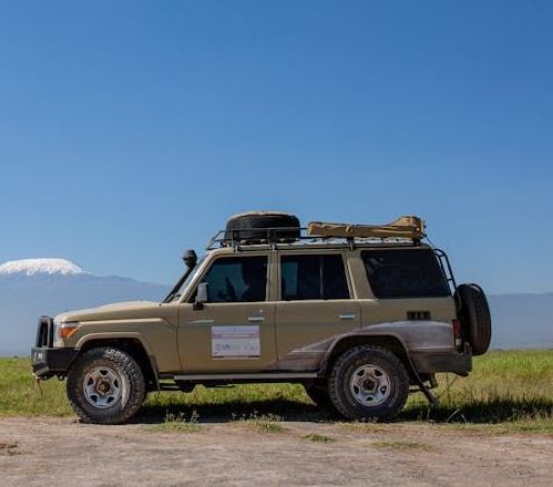 Welded Land Cruiser