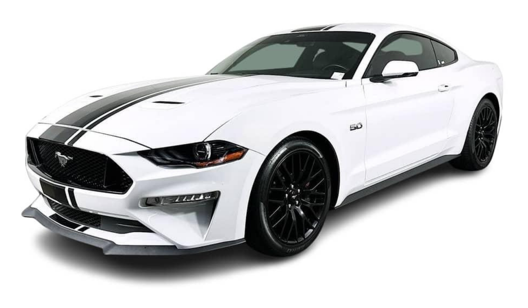 Ford Mustang on dynojet machine