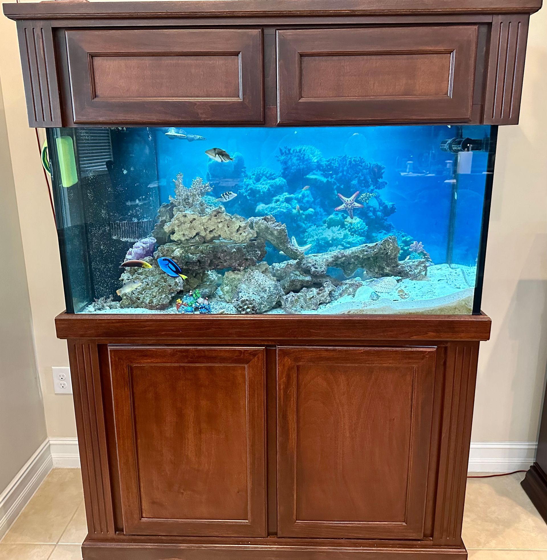 Saltwater aquarium with colorful fish and coral, encased in a dark wooden cabinet.