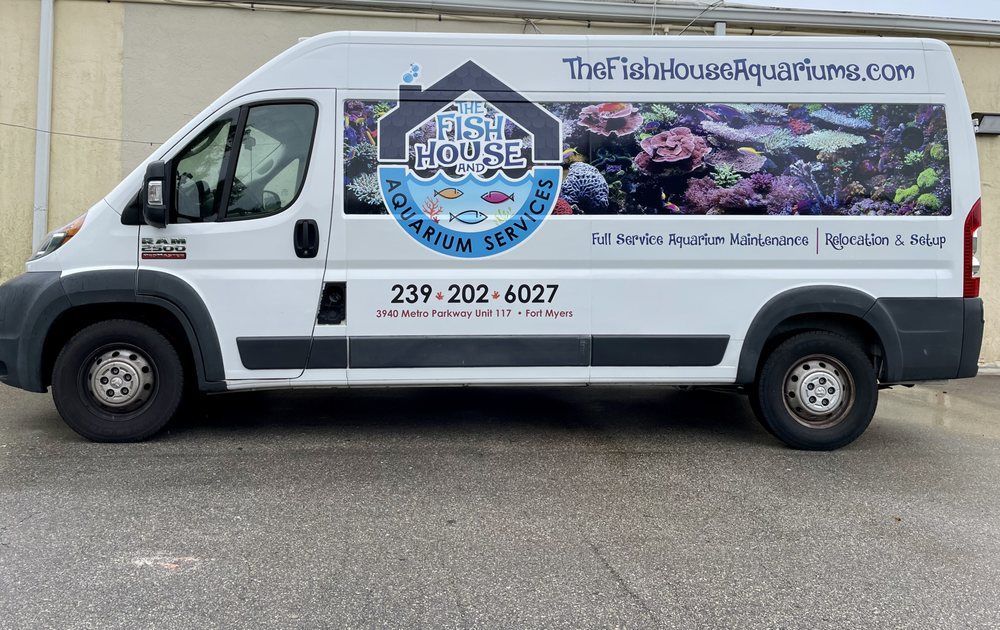 White van with 