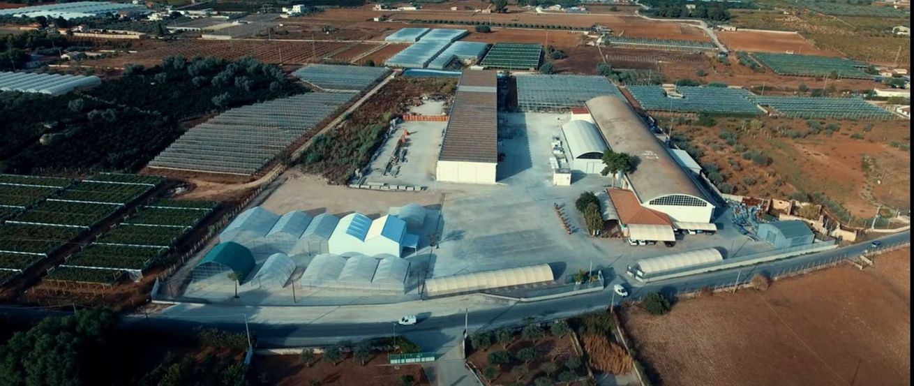 Veduta aerea di un grande complesso industriale con lunghi edifici dai tetti bianchi che si affacciano su campi e strade.