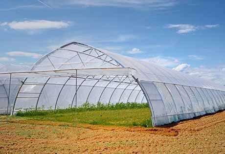 Struttura di serra parzialmente assemblata su un campo di terra battuta sotto un cielo azzurro.