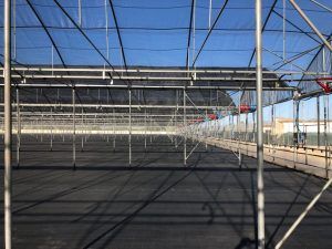Struttura industriale vuota con intelaiatura metallica, pannelli del tetto blu e pavimento scuro sotto la luce intensa del sole.