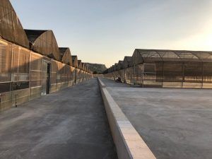 Area industriale esterna vuota con file di strutture ricoperte da rete metallica marrone su entrambi i lati di un sentiero pavimentato.