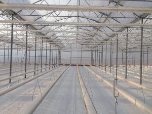 Interno vuoto di una serra con file di aiuole e strutture di supporto metalliche sotto un tetto di vetro.