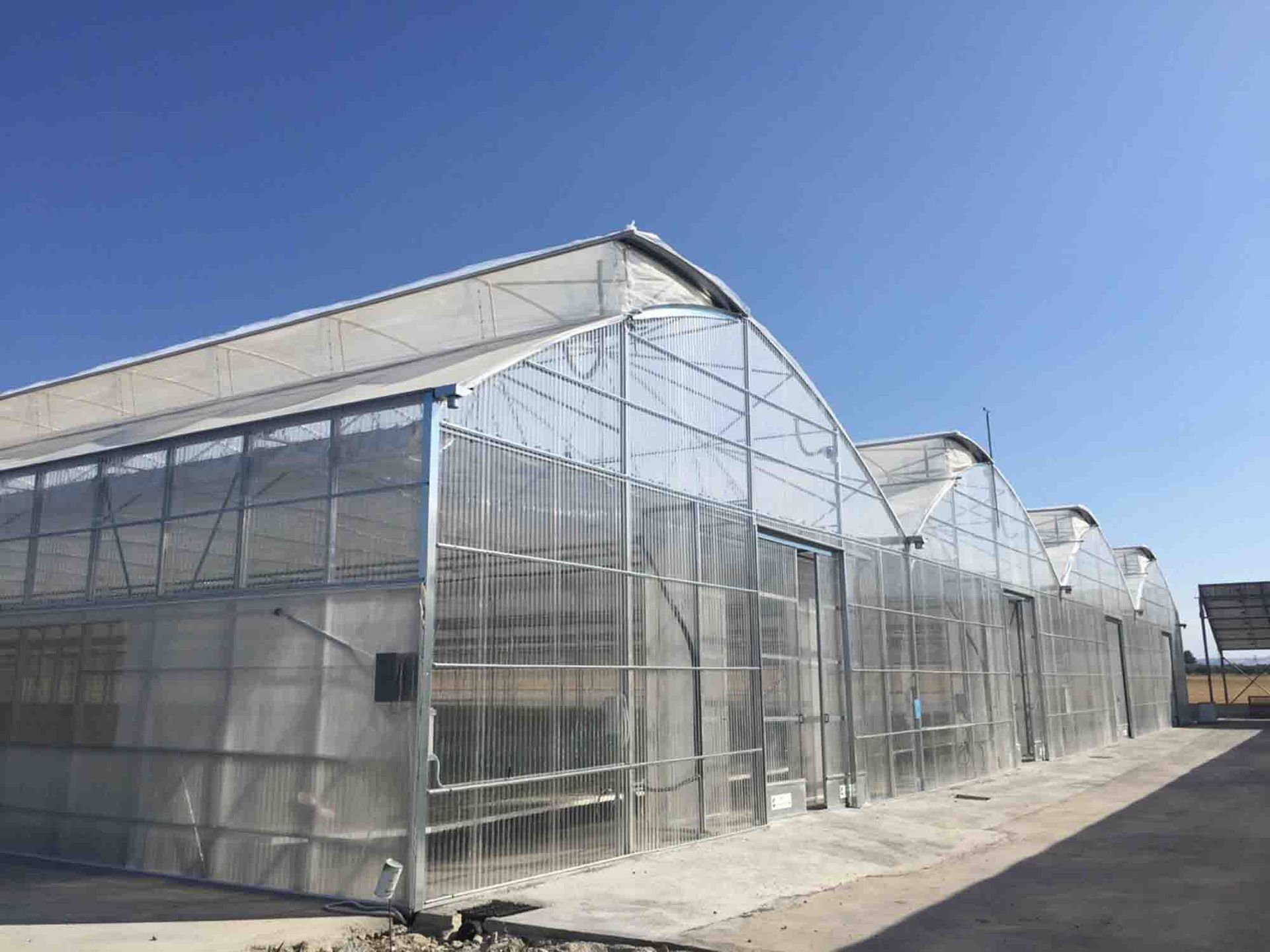 Una fila di serre di plastica trasparente accanto a un sentiero lastricato sotto un cielo azzurro