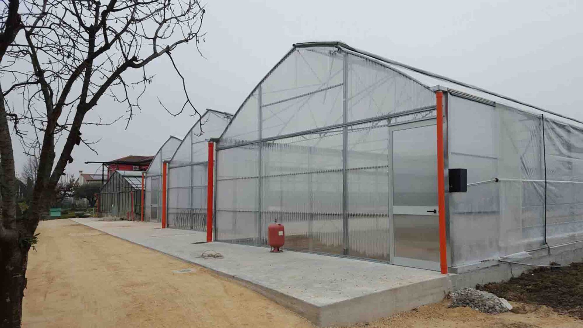 Serra a tunnel in plastica con pannelli trasparenti, supporti arancioni e un sentiero di ghiaia accanto ad alberi spogli.