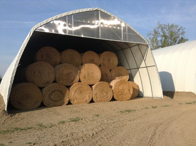 Balle di fieno accatastate all'interno di una tettoia agricola bianca ad arco su un terreno sterrato.