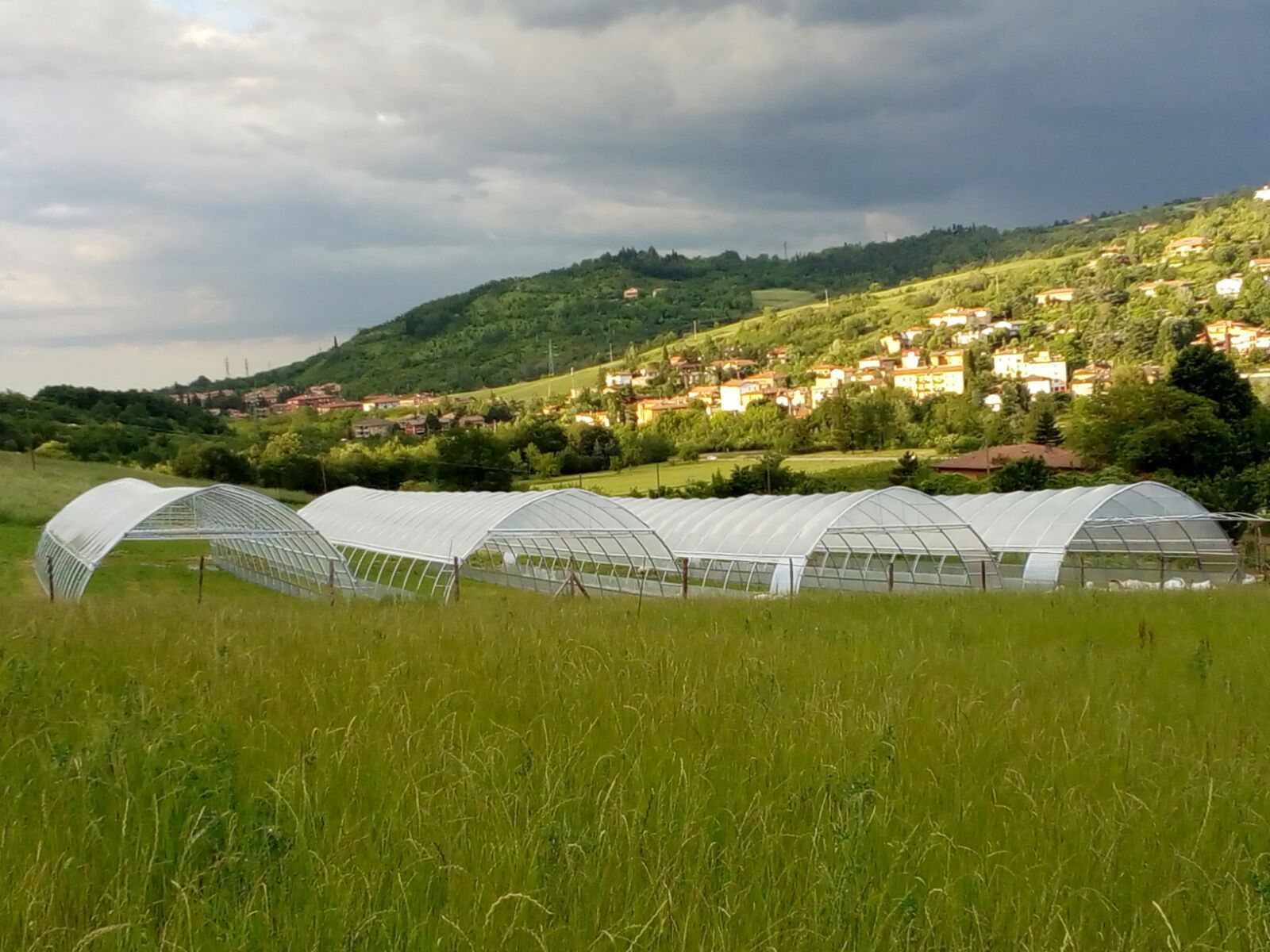 Serre in un prato con un villaggio collinare e un cielo nuvoloso sullo sfondo.