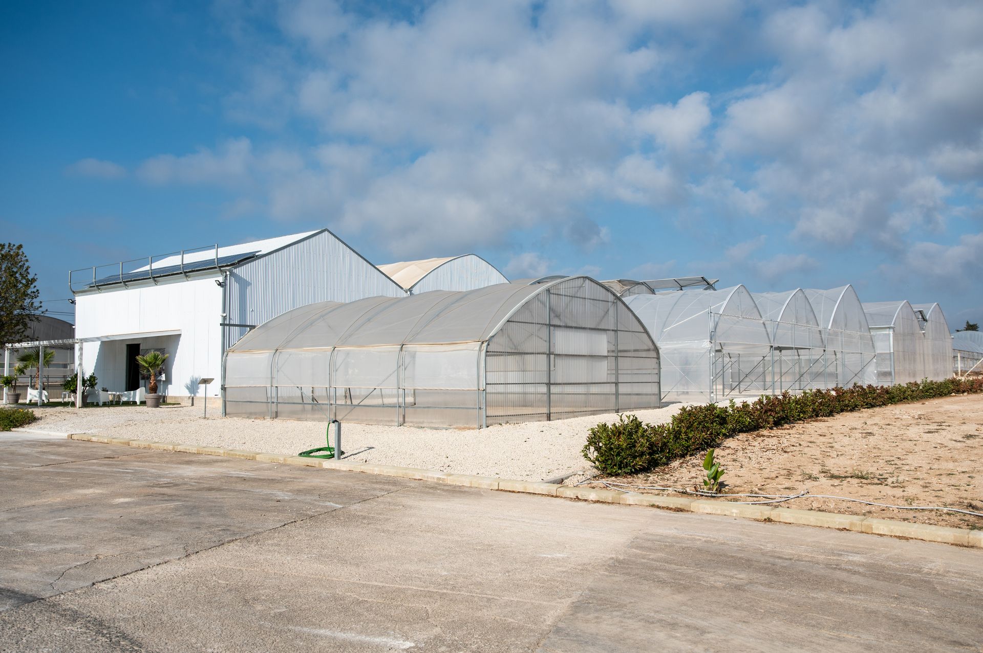 Serre con coperture di plastica bianca in un campo rurale sotto un cielo azzurro