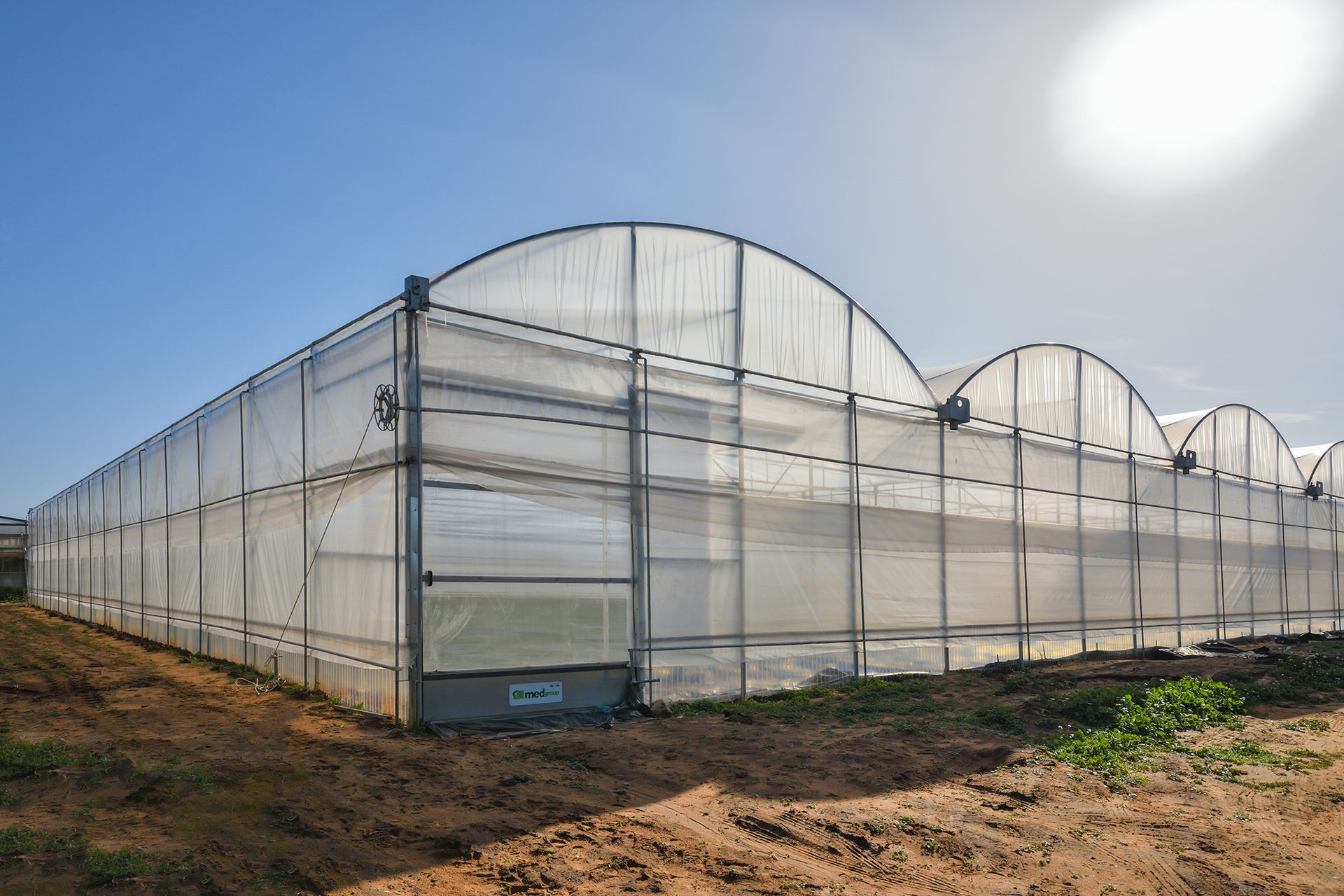 Strutture serricole coperte di plastica in un campo soleggiato con terreno in primo piano