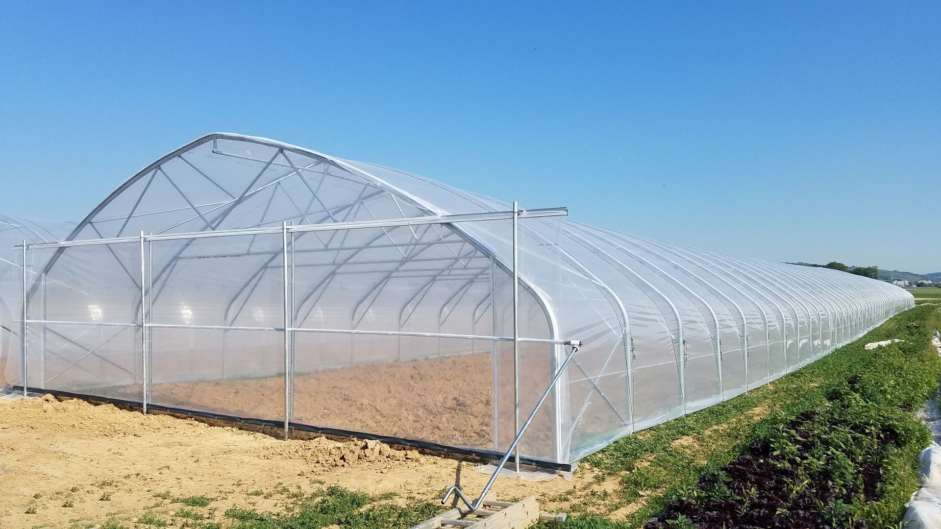Serra a tunnel ricoperta di rete bianca in un campo asciutto sotto un cielo azzurro e limpido.