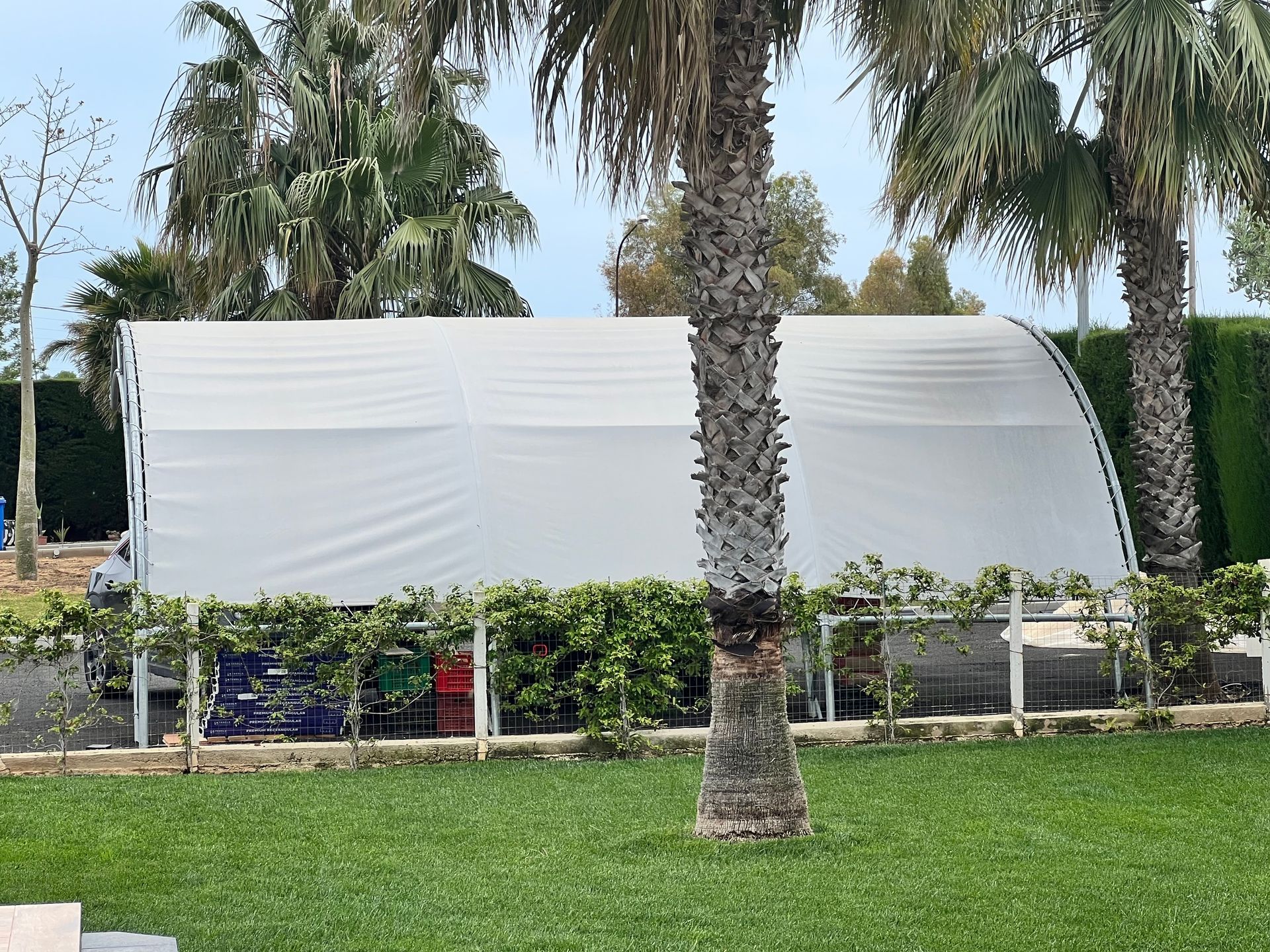 Serra bianca situata dietro una siepe e una palma in un'area erbosa del giardino.