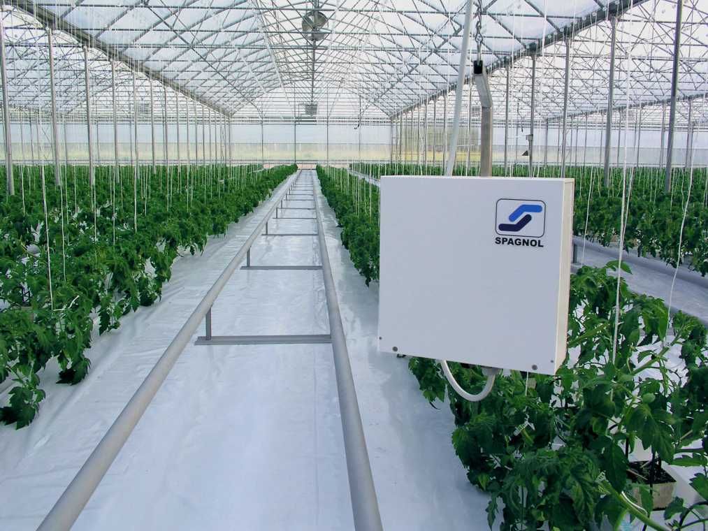 Ampia serra con file di colture a foglia verde e un sistema di irrigazione automatizzato nella corsia centrale.