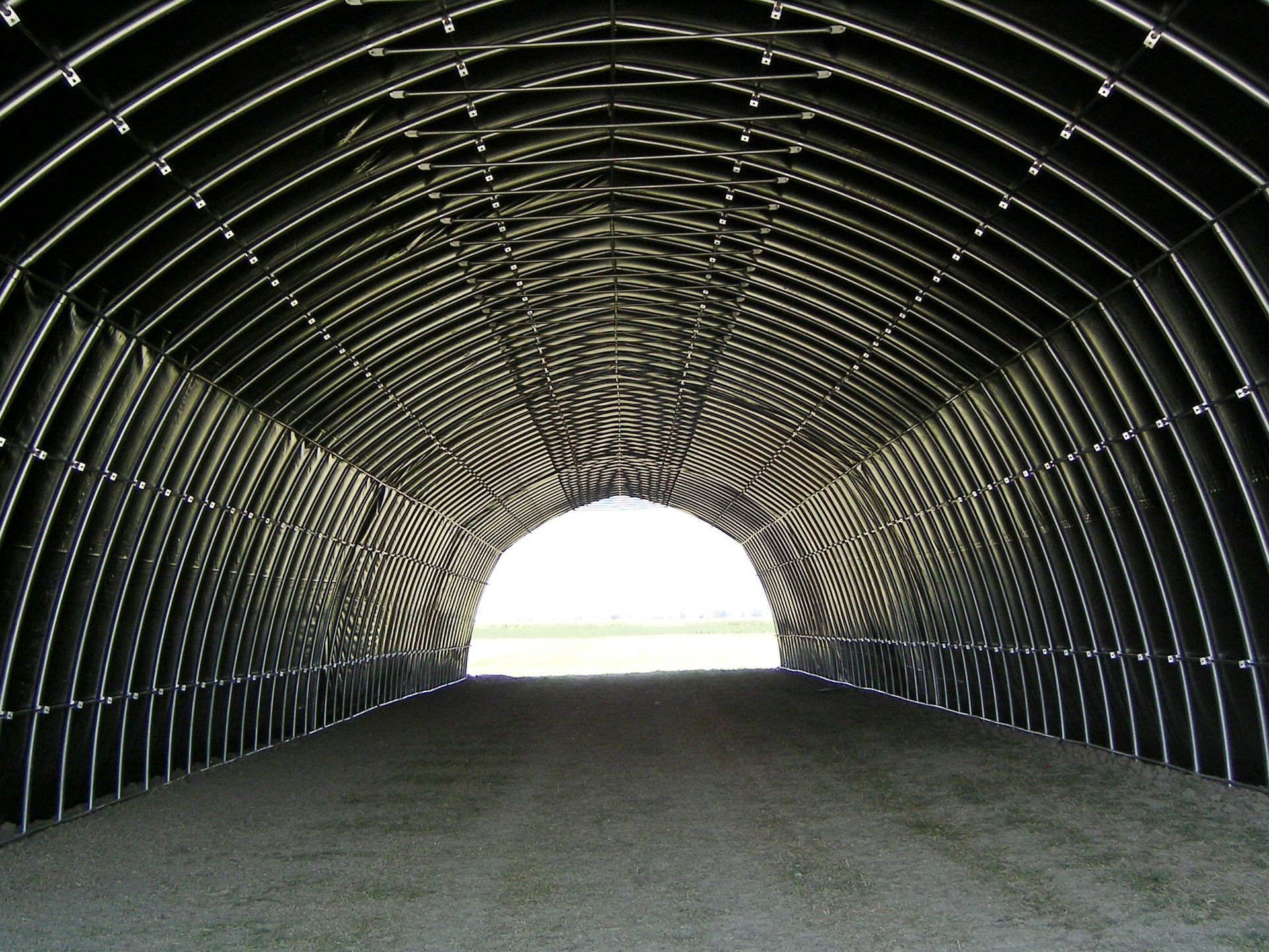 All'interno di un tunnel buio ad arco con pareti ondulate, la luce del giorno splendente illumina l'uscita in lontananza.