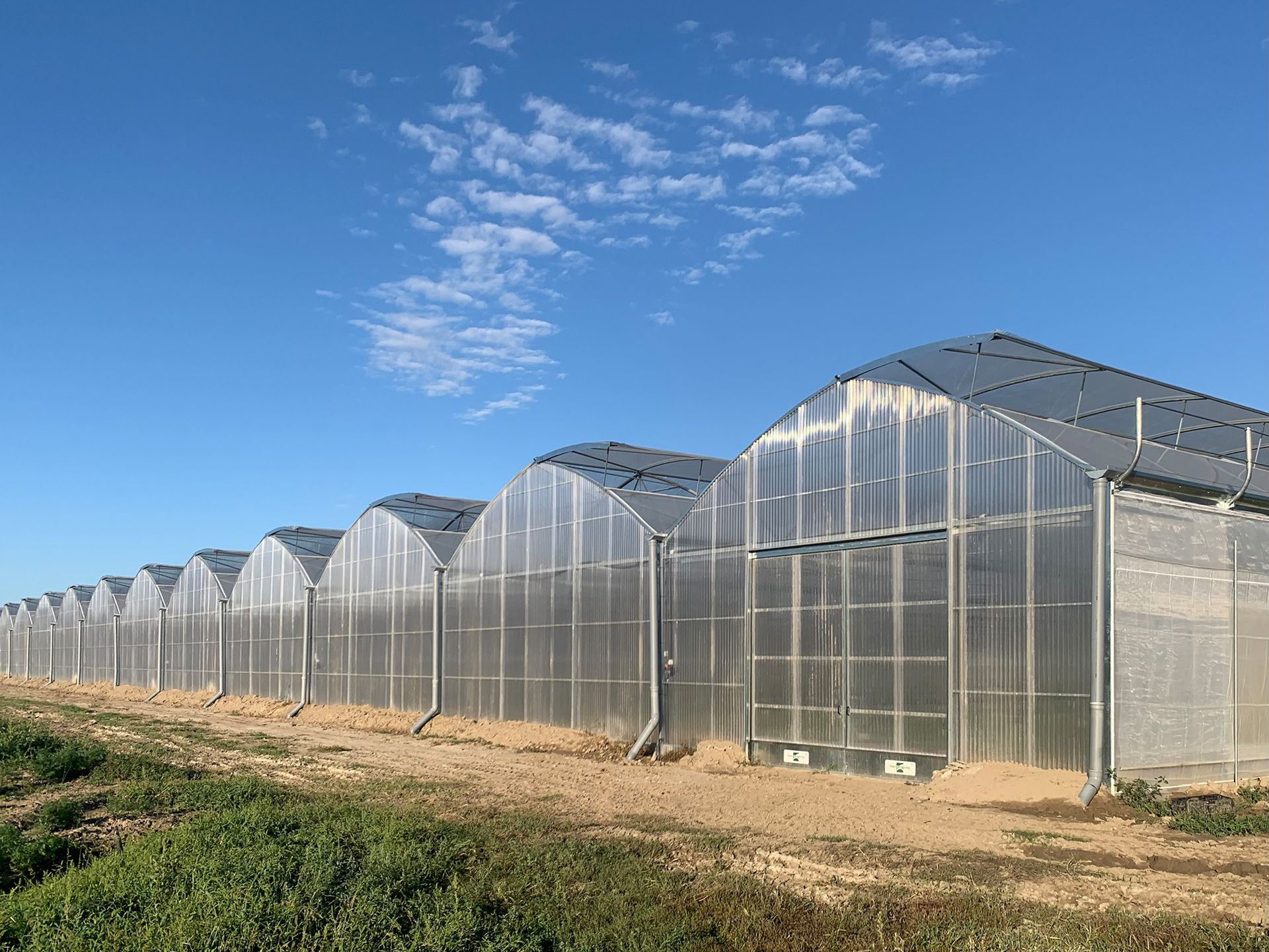 Una fila di serre trasparenti con tetti ad arco sotto un cielo azzurro in un campo agricolo