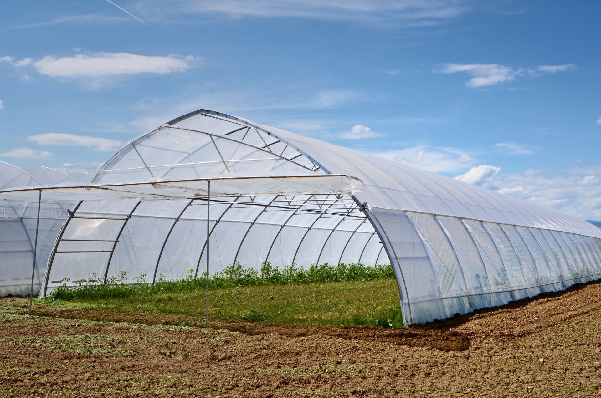 Una fila di tunnel serra ricoperti di plastica in un खेत sotto un cielo blu
