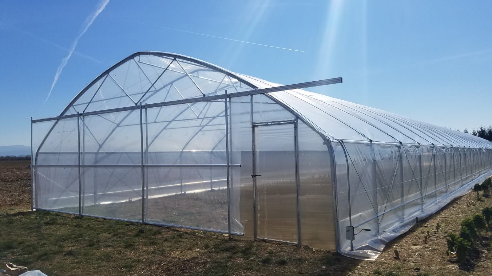Serra a tunnel ricoperta di plastica in un campo sotto un cielo azzurro
