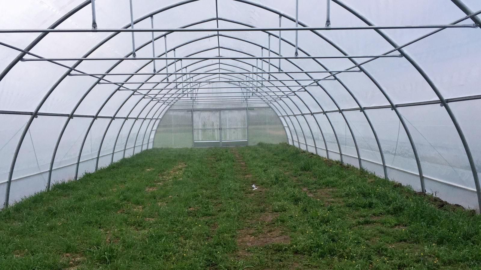 Serra a tunnel vuota con pavimento erboso e pareti in plastica traslucida.