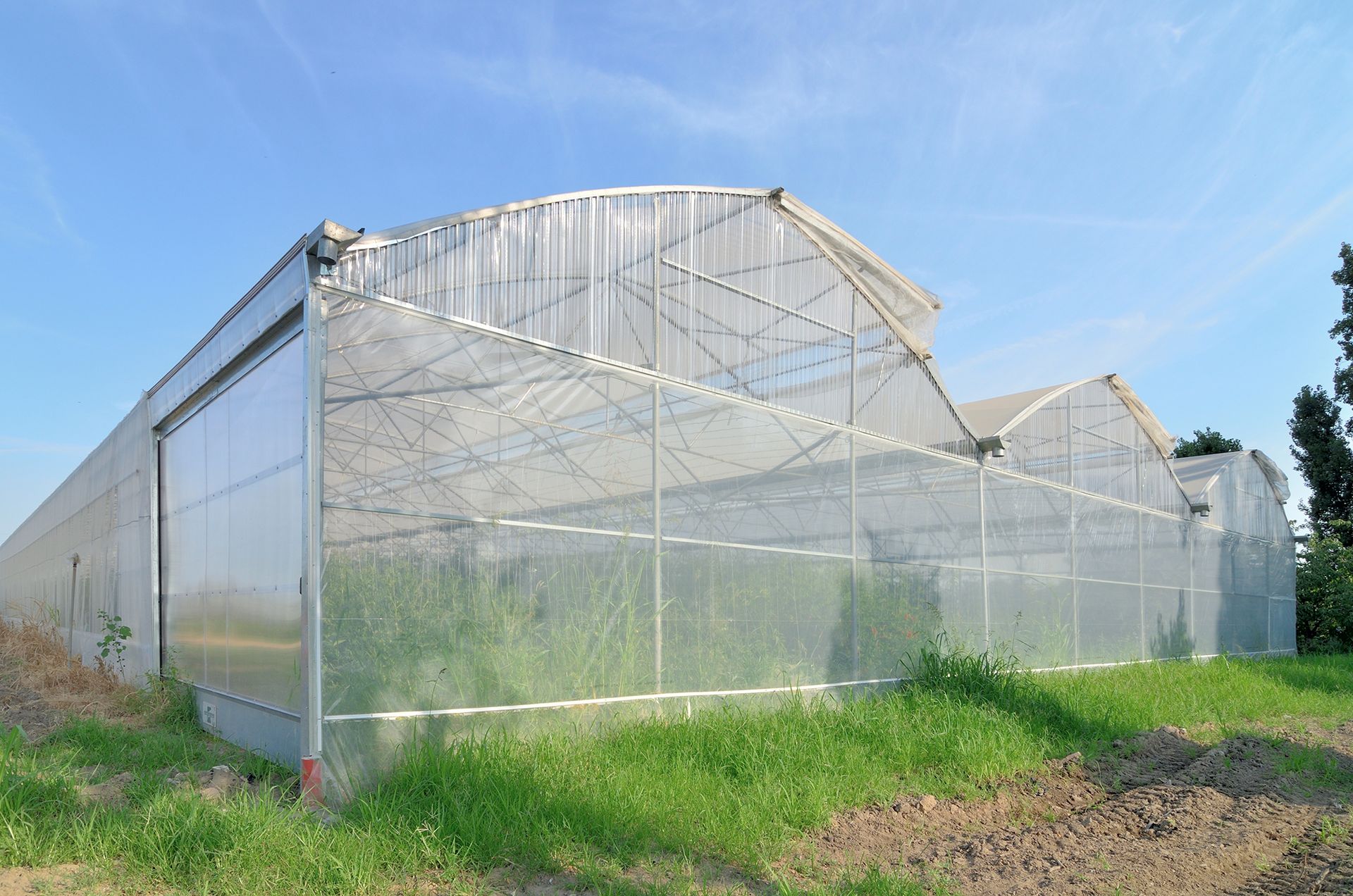 Ampia serra trasparente con tetto a punta, situata in un campo erboso di campagna sotto un cielo azzurro.