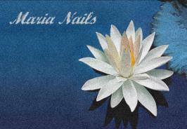 Fiore bianco su sfondo blu con la scritta