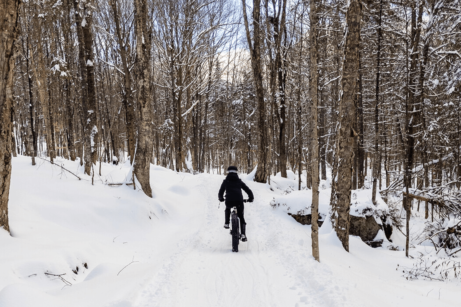 Woman on Fat Bike Trail, Muskoka Ontario