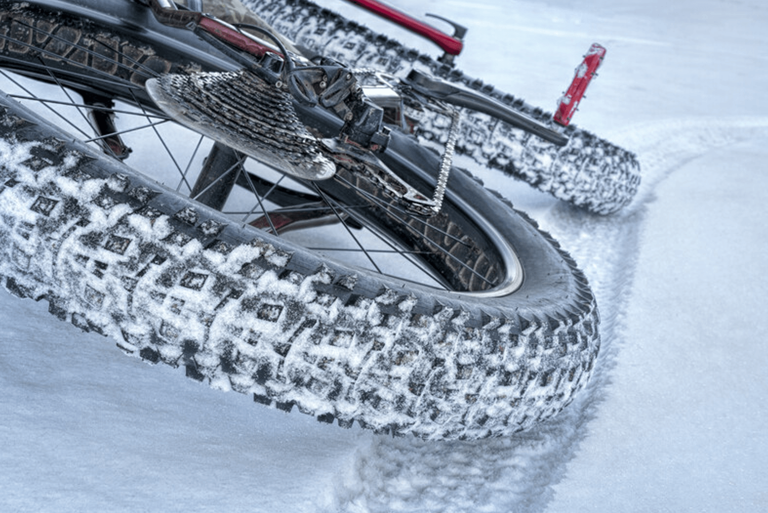 Fat Bike Tire Detail on Muskoka Winter Snow