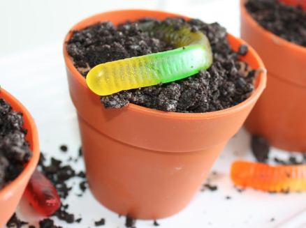 Dirt Cake recipe from ALLRECIPES.COM