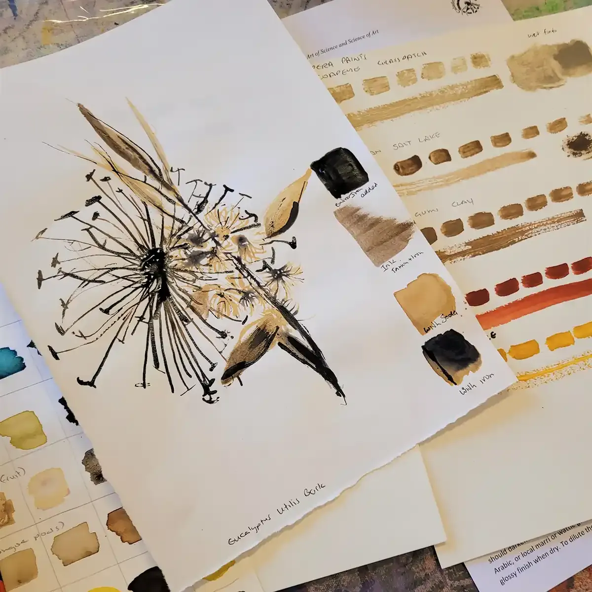 Unlocking the Colours of Nature