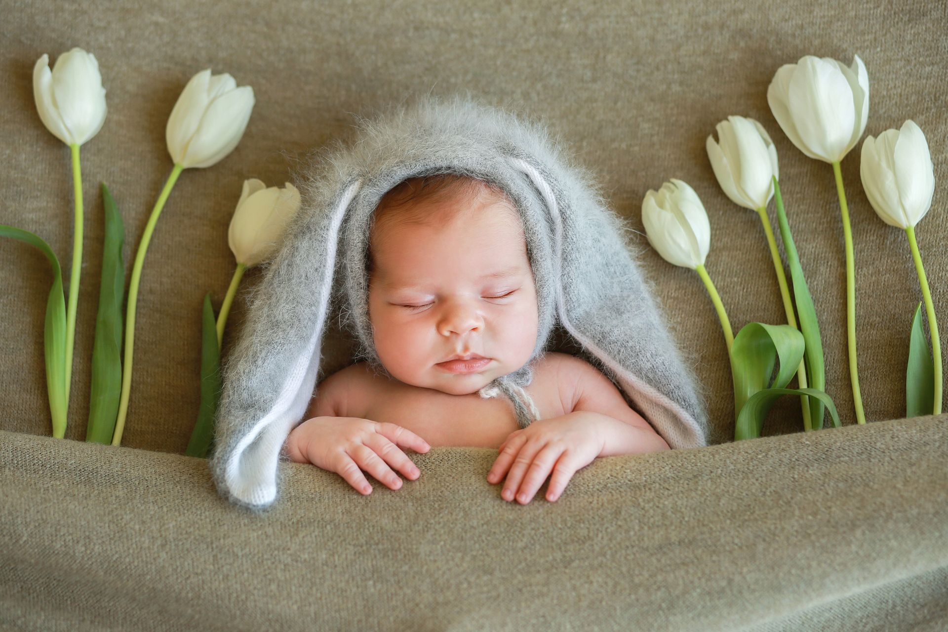 Group / Family Session