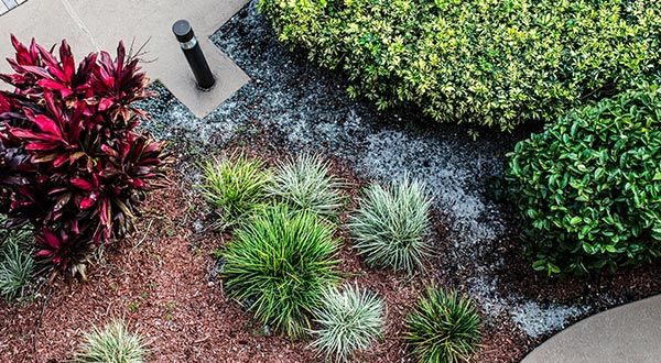 Tropical Landscaping | Springfield, MA | Thomas P. Ryland Co. Tropical Landscaping | Springfield, MA | Thomas P. Ryland Co.