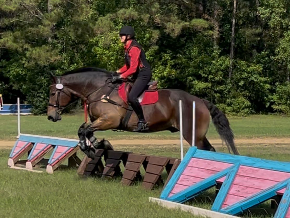 Rider in red shirt jumping a horse over a colorful obstacle on a grassy field
