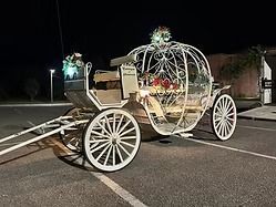 White horse-drawn carriage with floral decorations parked at night on a street