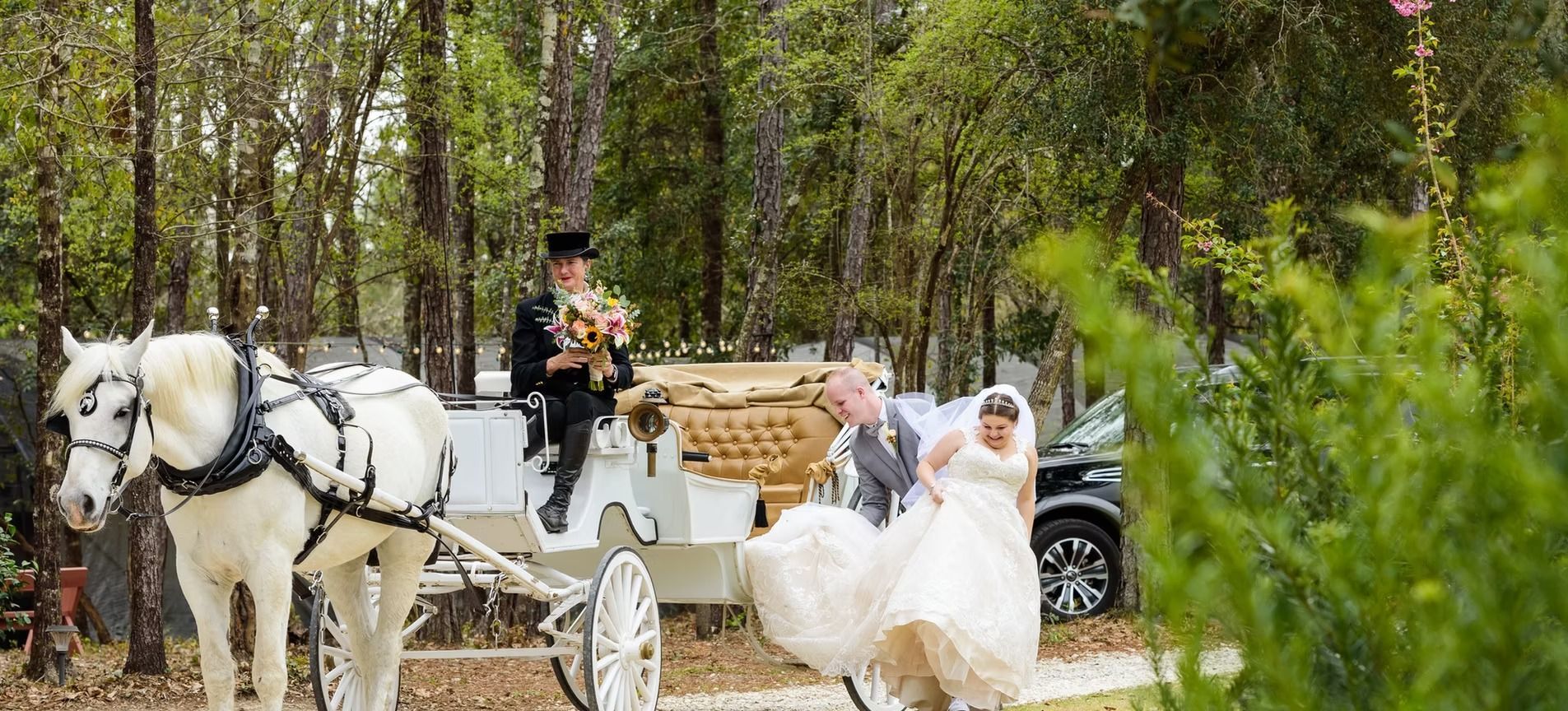 White horse pulling a white carriage with seated passengers in a wooded outdoor setting