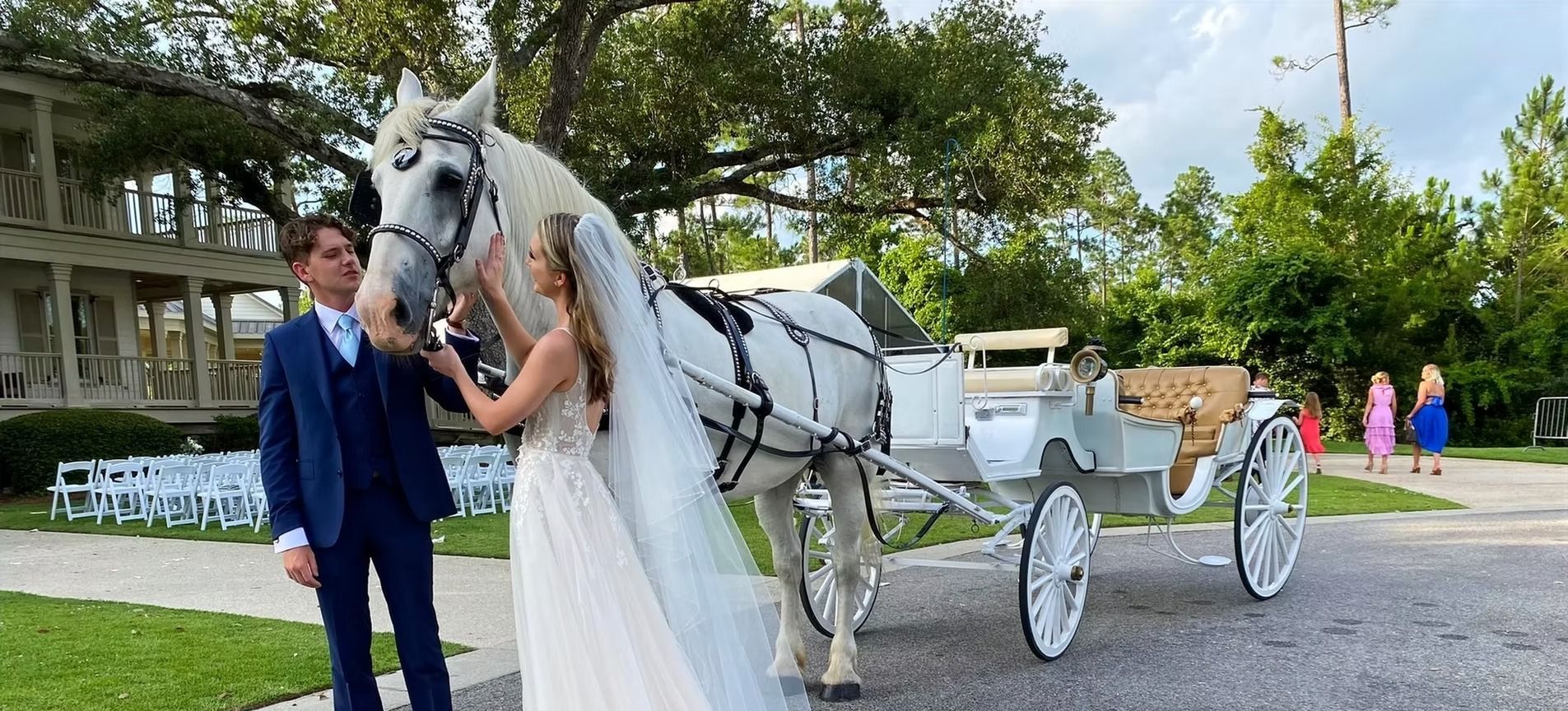 Bride and groom posing with a white horse and carriage on a grassy outdoor path
