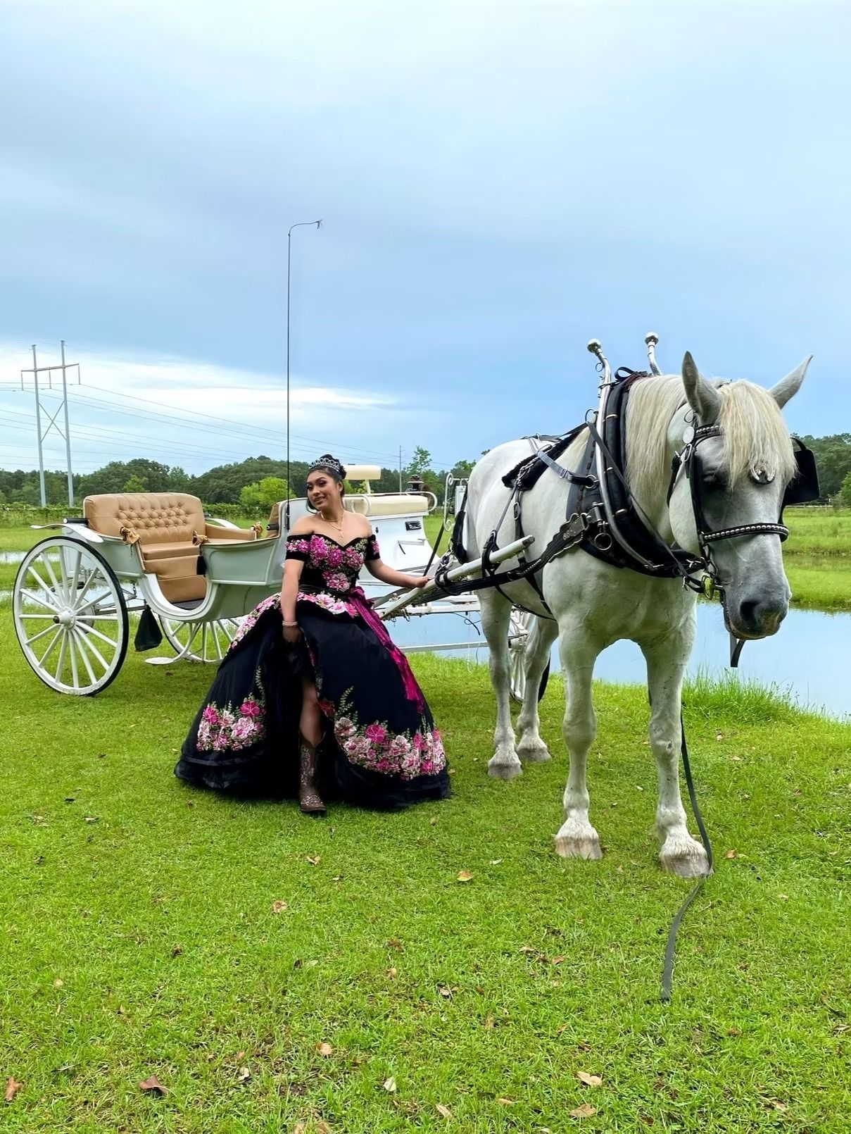 Woman in a black floral gown standing beside a white horse and carriage on a grassy field under a cloudy sky