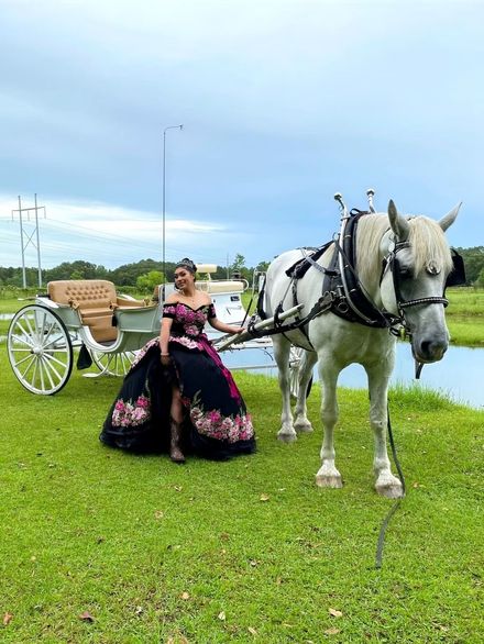 Woman in a pink and black dress posing beside a white horse-drawn carriage on a grassy field.