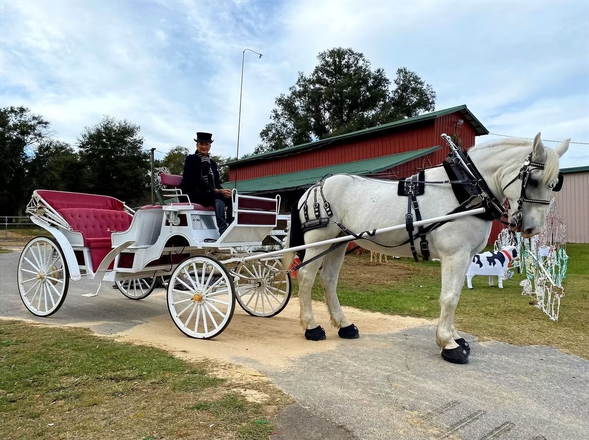 Horse-drawn white carriage with a driver on a rural road, beside a red-roofed covered bridge