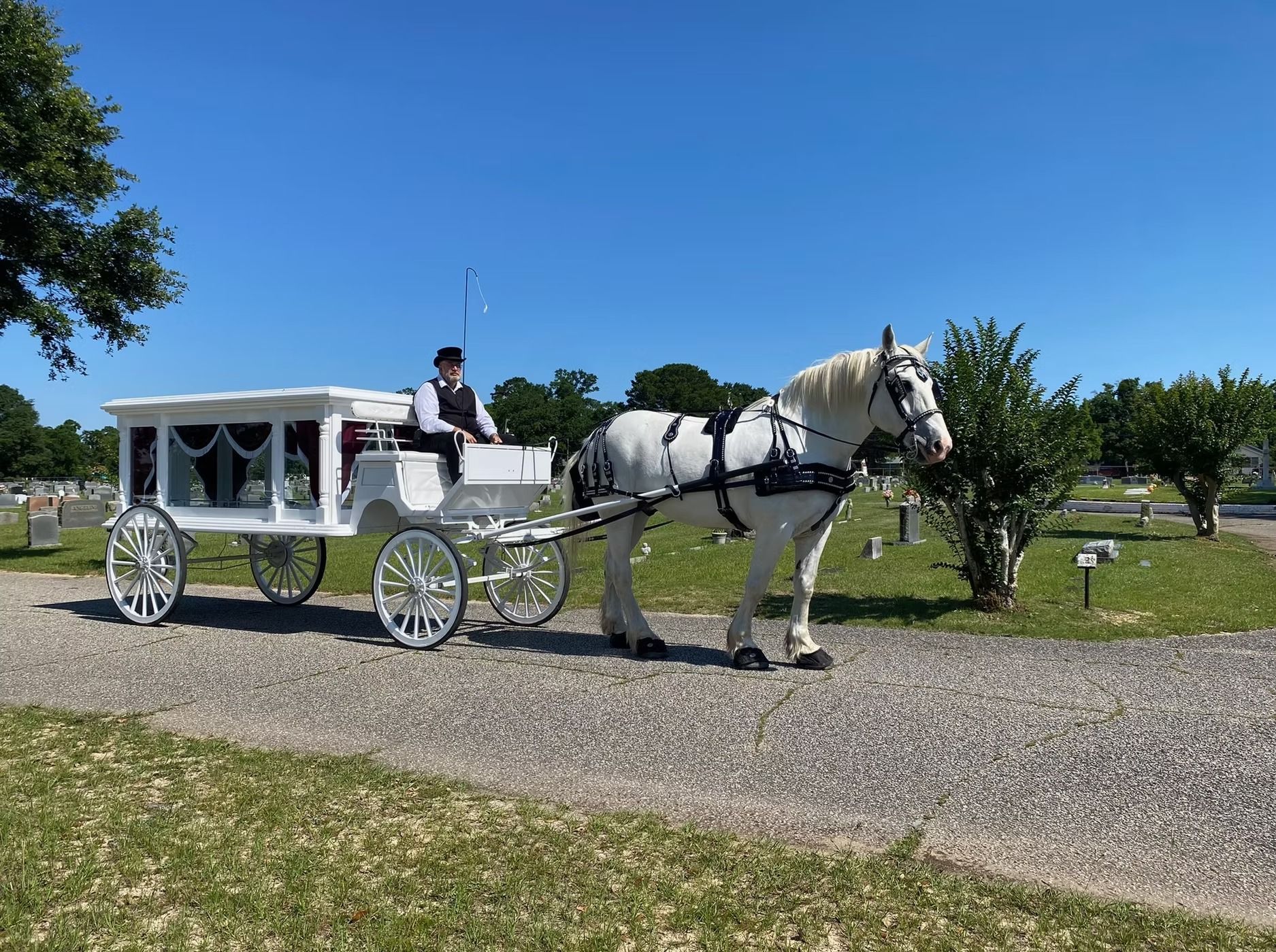 White horse-drawn carriage on a gravel path under a bright blue sky, with a driver and green trees nearby