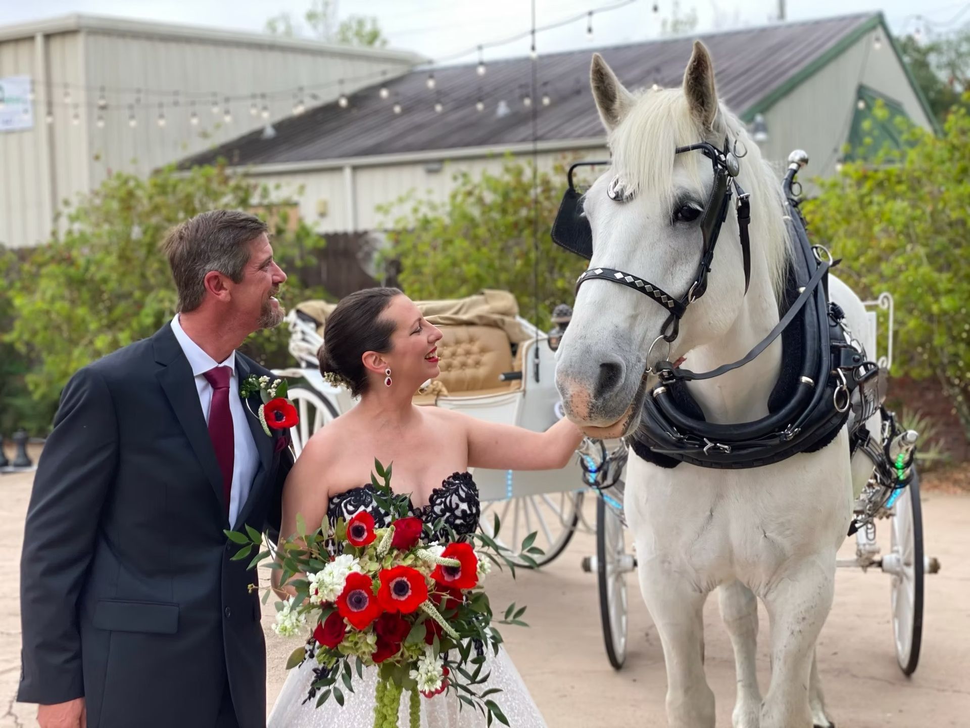 Bride in red bouquet and groom in suit pet a white horse beside a carriage outdoors
