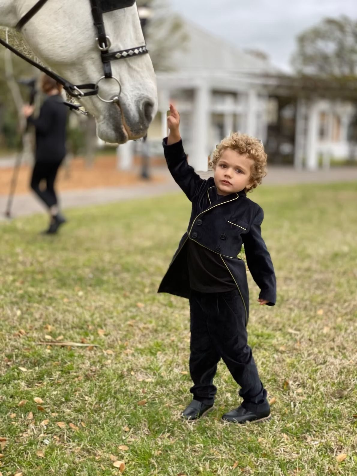 Child reaching up to touch a white horse’s muzzle in a grassy park near a blurred building.