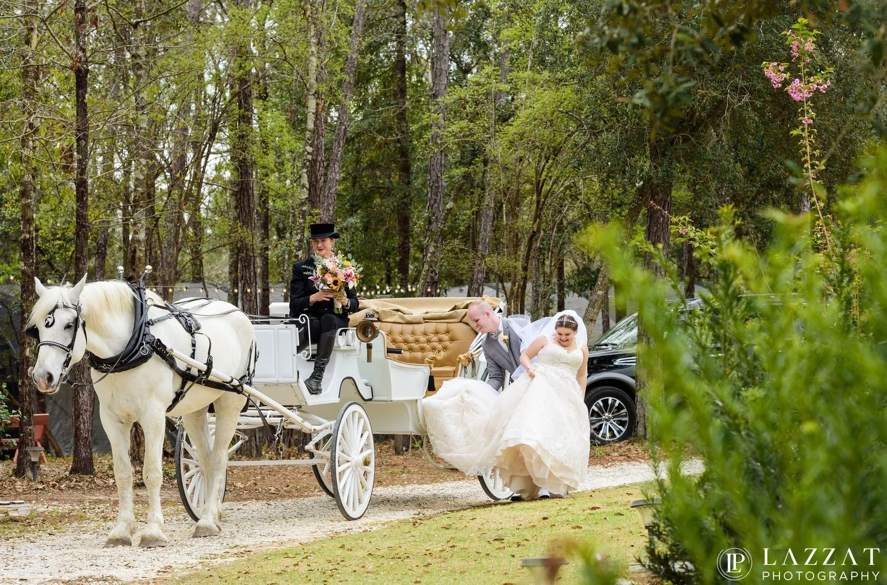 Bride and groom ride in a white horse-drawn carriage through a wooded path