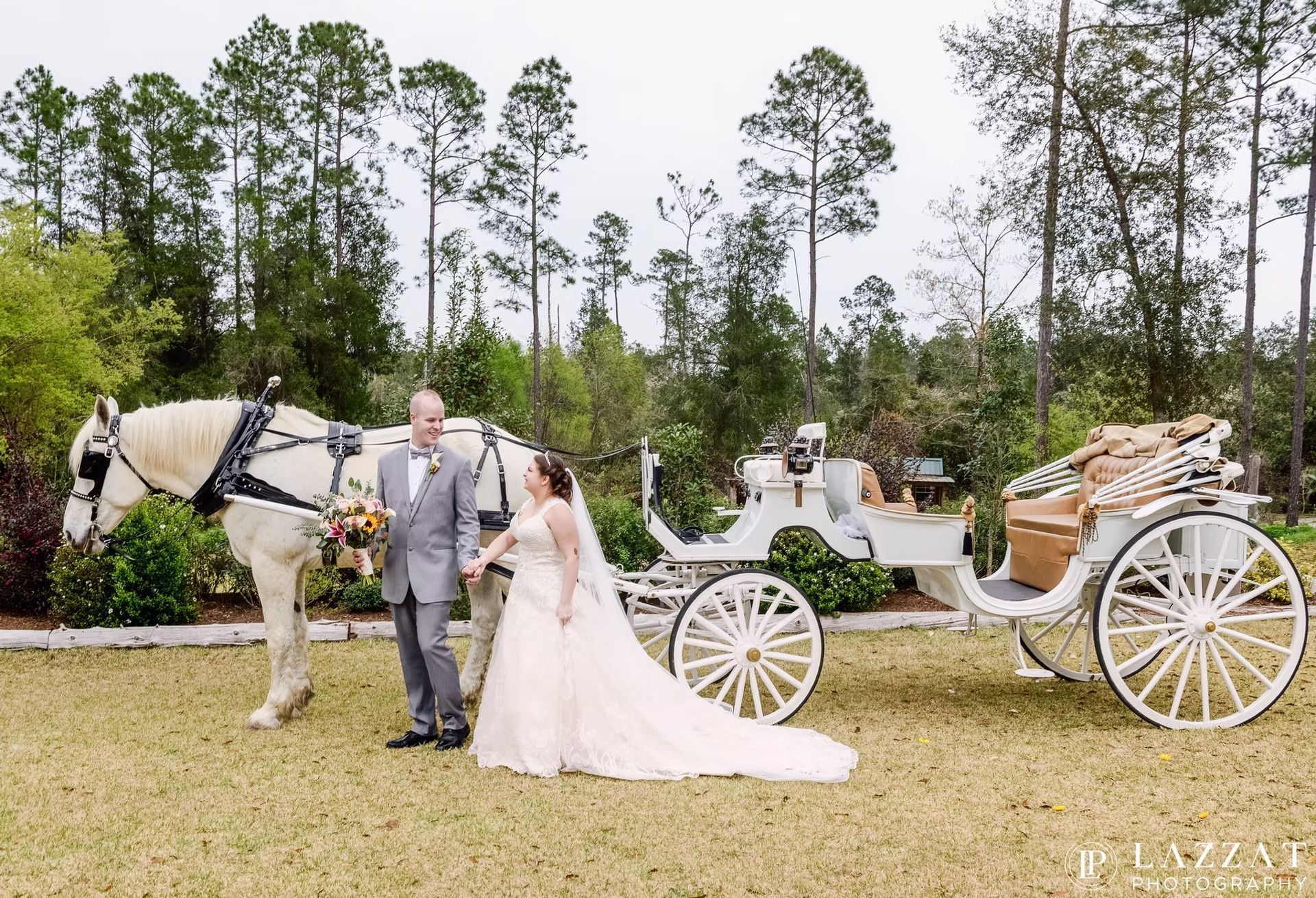 Bride and groom with white horse-drawn carriage in grassy field near pine trees