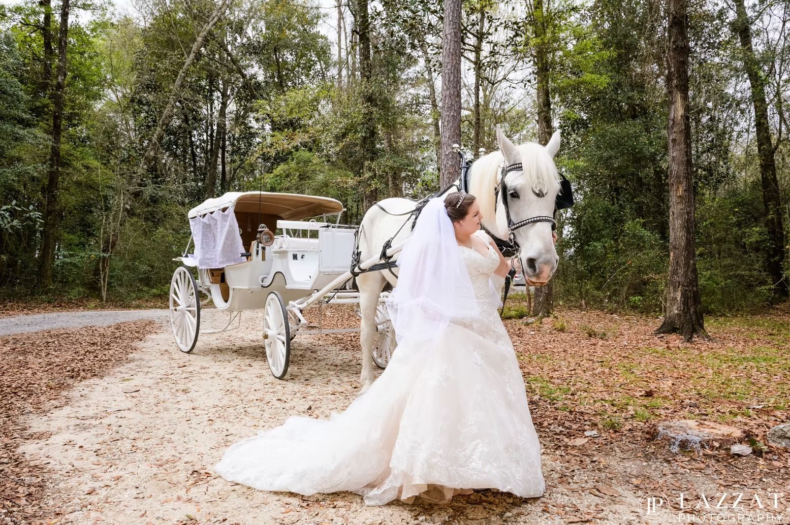 Bride beside white horse-drawn carriage on a wooded path