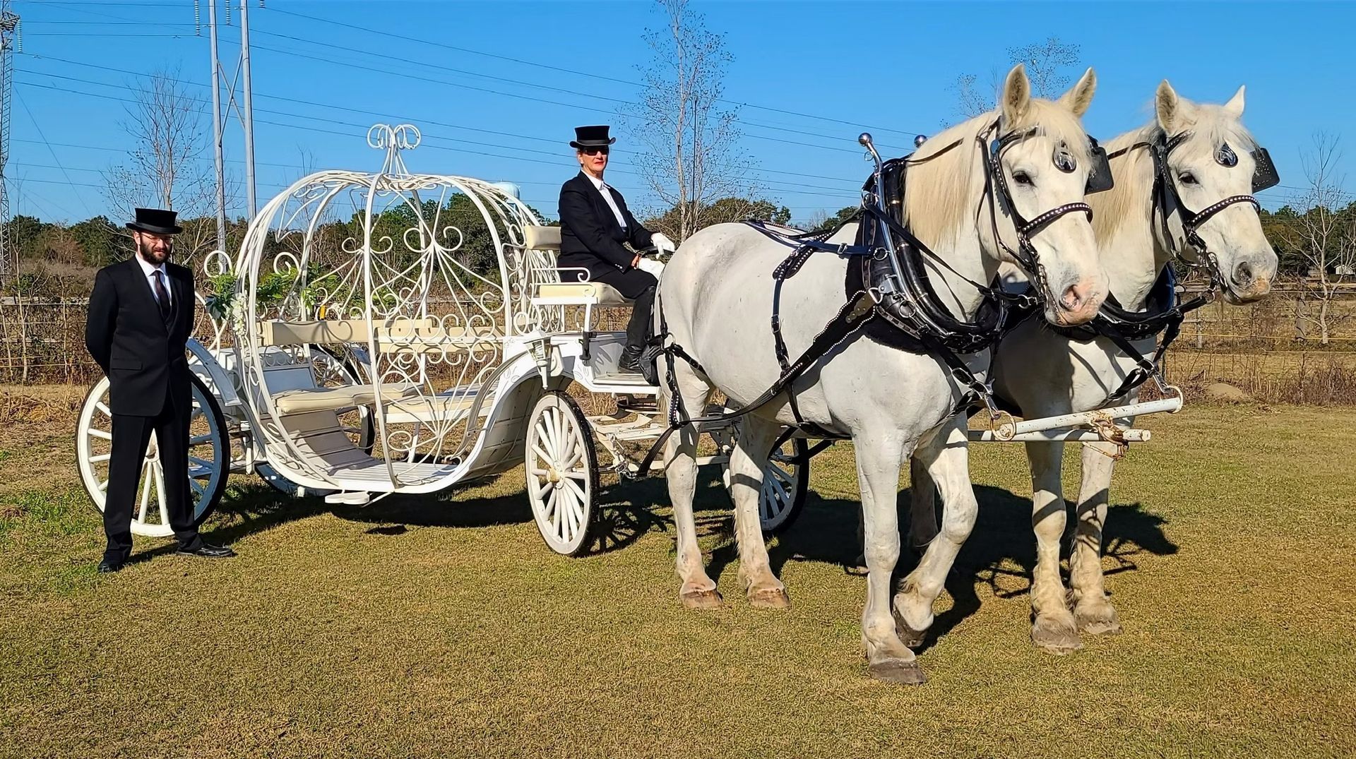 White horse-drawn carriage with two drivers on a grassy field under a blue sky