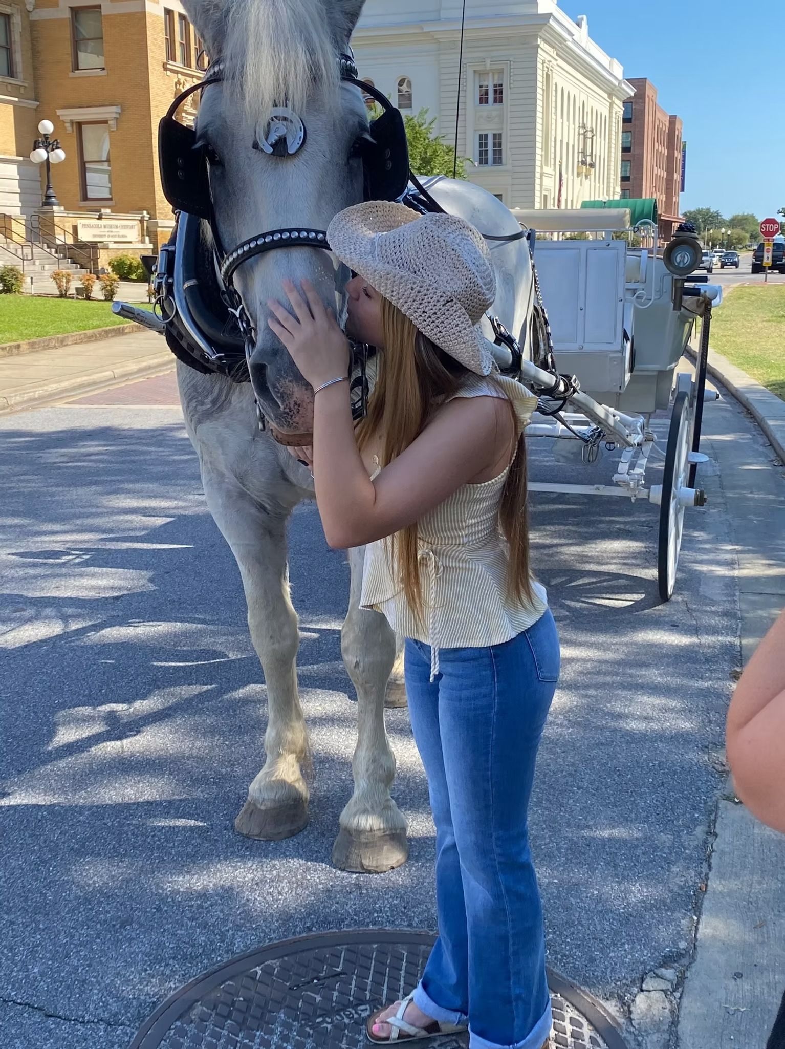 Person hugging a gray horse on a sunny street with houses in the background